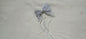 Hair clip